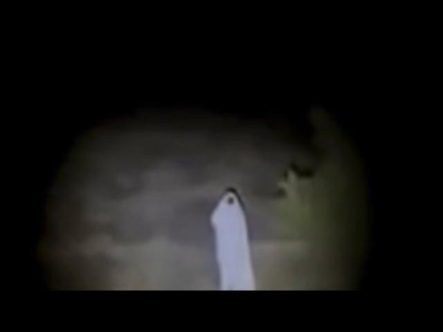 Real jinn caught on camera. Arabian ghost videos and horror footage of jinn.