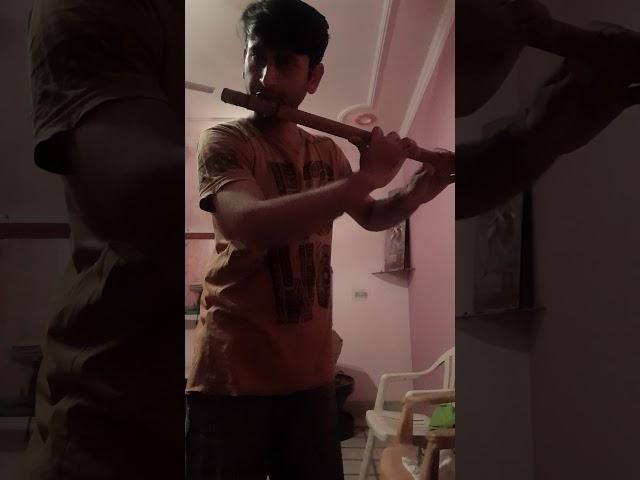 Shaktiman title song flute instrumental