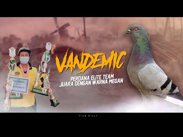 FINAL OF THE FREE DOVE FIGHTING INDONESIA RISES | TOTAL PRIZE OF 35 MILLION IPI TELESCOPE ARENA S...