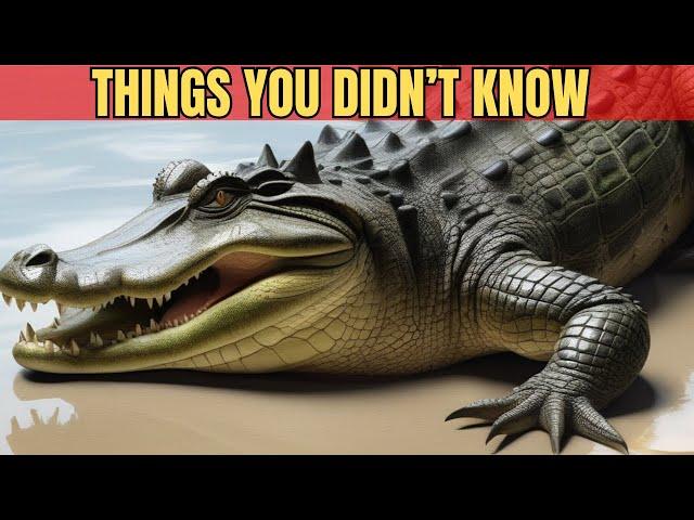 A little Something about Crocodiles