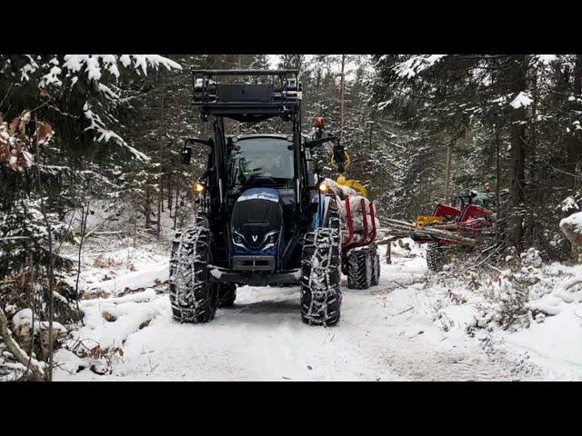 Skogsarbeid. utkjøring av tømmer Valtra a115 Igland 380 tømmervogn