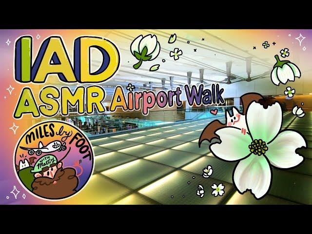 The Ultimate ASMR Airport Walk - Washington Dulles International Airport - All Gates and Terminals!