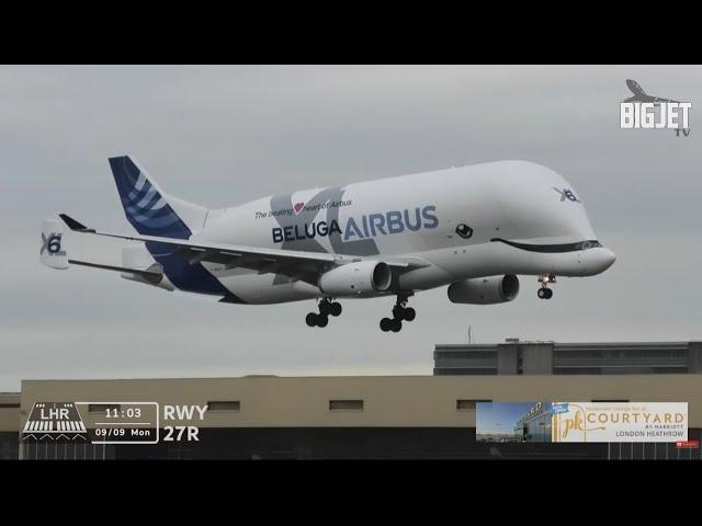 Airbus Beluga XL lands at Heathrow Airport for the very first time