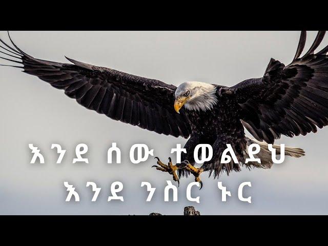 እንደ ሰው ተፈጥረህ እንደ ንስር ኑር !!