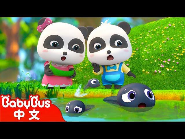 小蝌蚪找媽媽 | 經典中文兒歌 | 熱門國語兒歌 | Kids Song | 童謠 | 動畫 | 卡通片 | BabyBus | 寶寶巴士