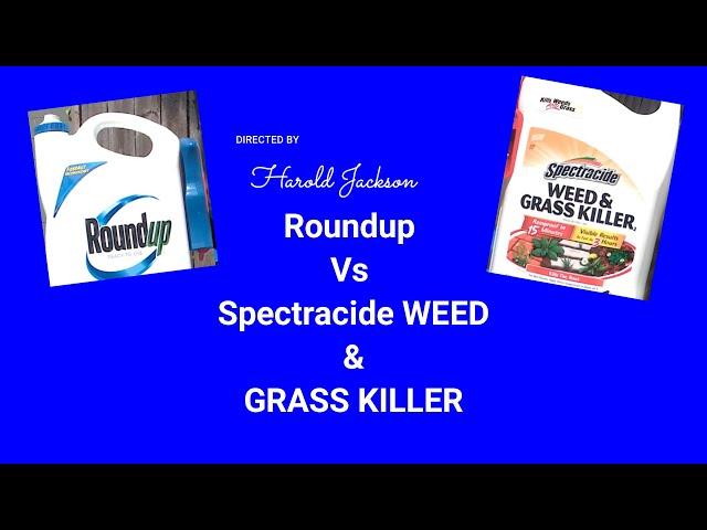 Roundup Vs Spectracide WEED & GRASS KILLER