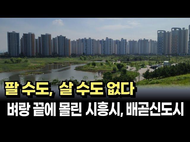 출구가 없는 시흥 배곧신도시 아파트 시장, 살 수도 팔 수도 없는 막막한 지경 [아파트매매 부동산 폭락 하락]