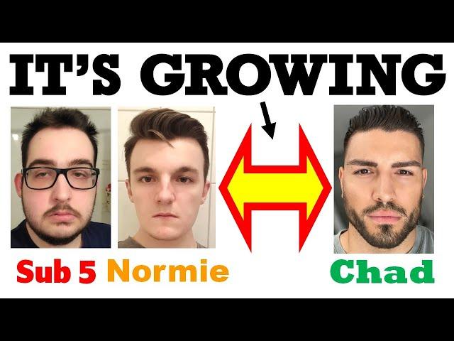 **WARNING** The Gap Between Normies and Chads is Growing