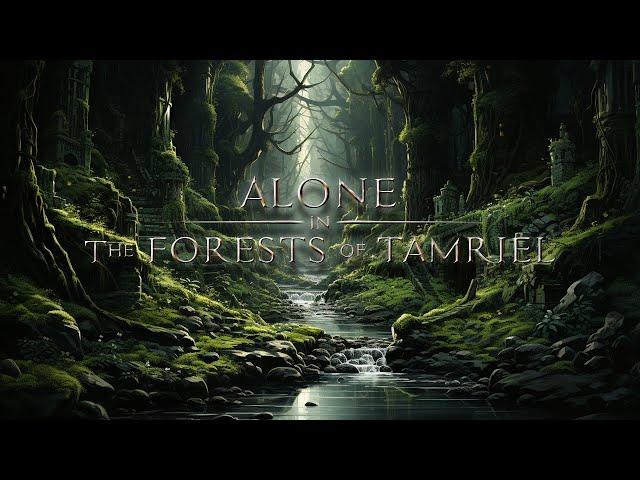 Jeremy Soule (Skyrim) — “Alone in The Forests of Tamriel” (3 Hr. mix)