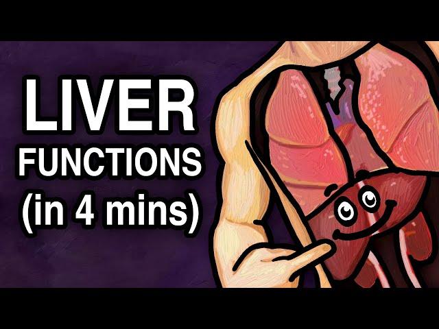 THE LIVER - FUNCTIONS