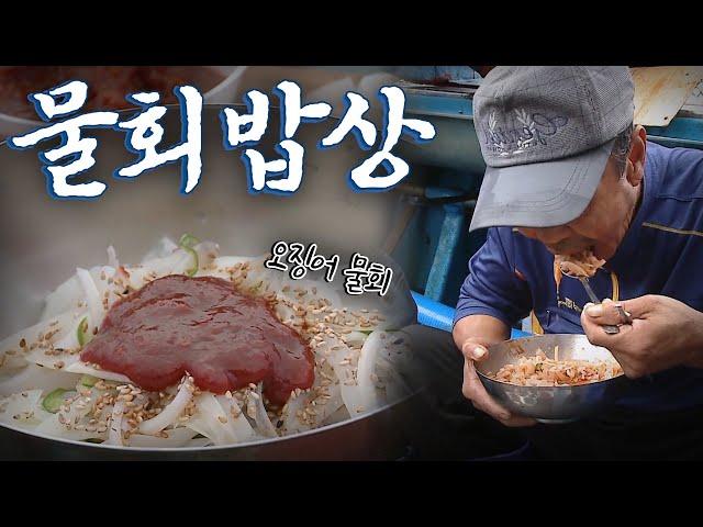 선상에서 바로 잡아 먹는 물회의 매력, Korean Food｜팔도밥상 KBS 20200718