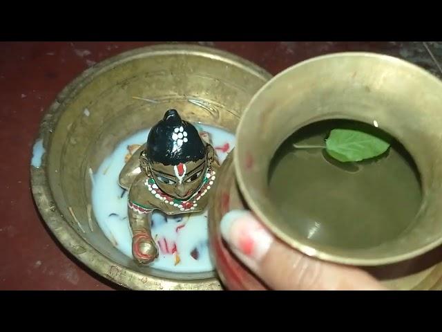 Gopu Sona Shan korche, amader laddu gopal,