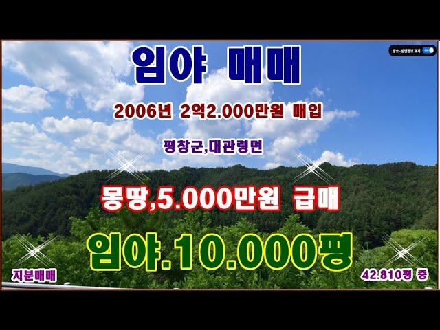 물번,628번) 임야 10.000평 매입가의 5분의1 수준 5.000만원에 매매합니다 지임야,42.810평 중에 1만평 2명 지분매매입니다, 투자,장기적으로 최고의 자리입니다~