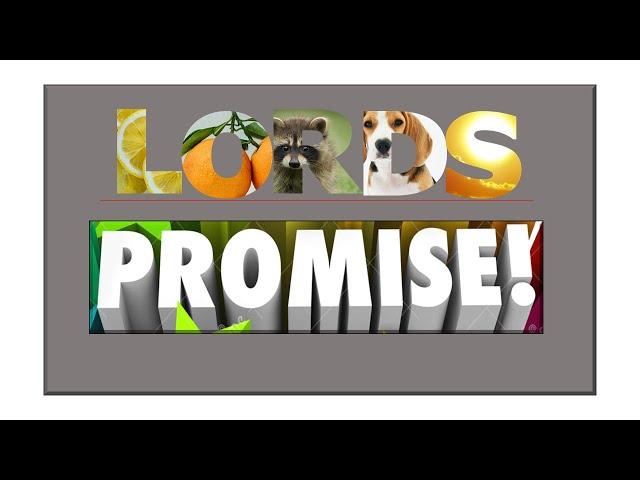 Lord's Promise  |  El Shaddai Worship Channel