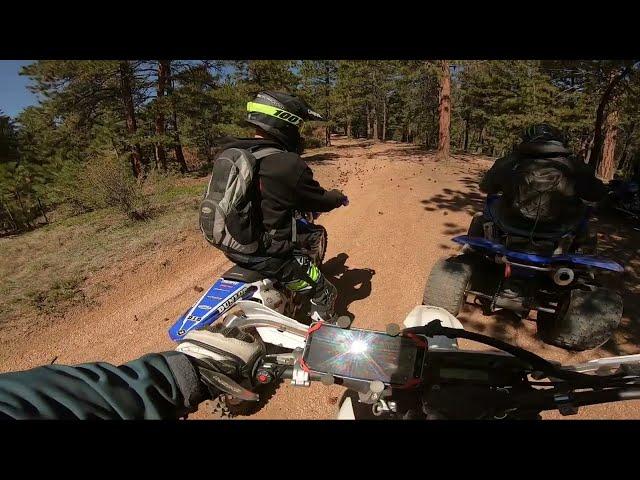 WR250R vs KLX300 Dualsport | is the wr250r really that much better?? #dualsport #dirtbike #ktm