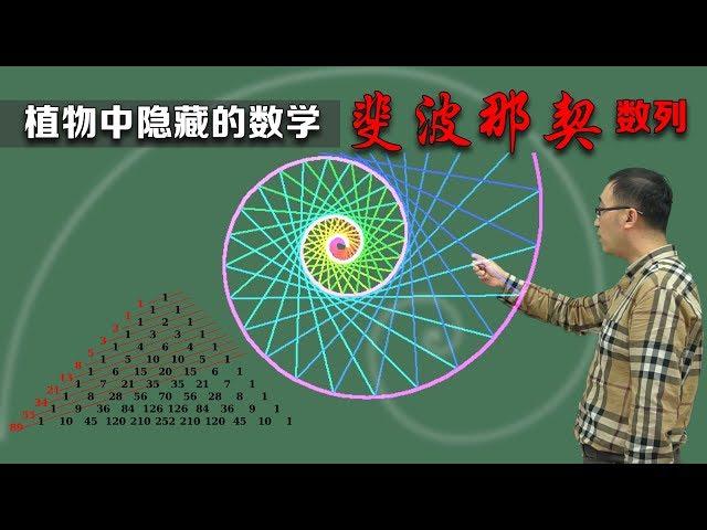 植物中隐藏的数学—— 斐波那契数列是什么？李永乐老师讲神奇的斐波那契数列