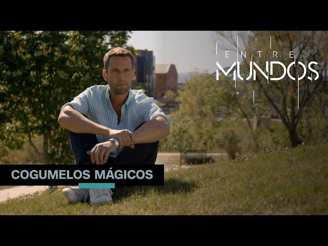 Cogumelos mágicos | ENTRE MUNDOS - 07/08/2022