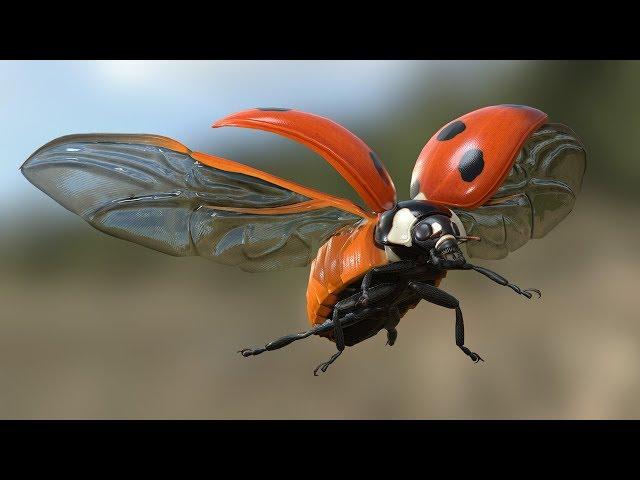 Ladybird  Flight Test - 3d model