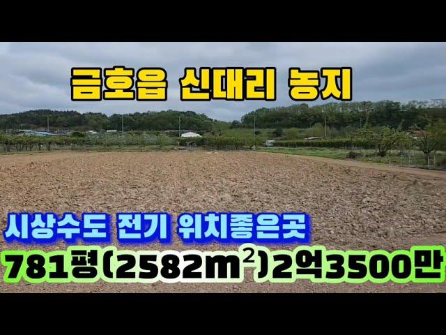 @no.568 금호읍 신대리 농사짓기 좋은 땅 054  335 0605