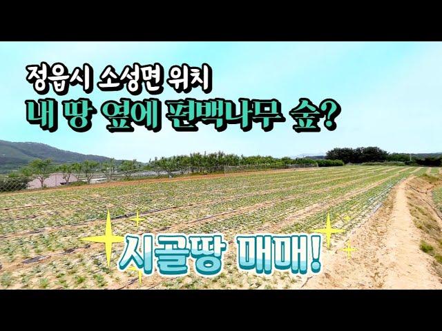 [전북토지매매] 매물번호#50 편백나무 숲 바로 옆 ! 정읍시 소성면 애당리 시골땅 토지 매매