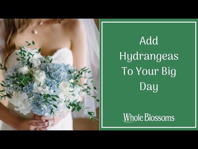 Choose perfect hydrangea flower to make wedding bouquets