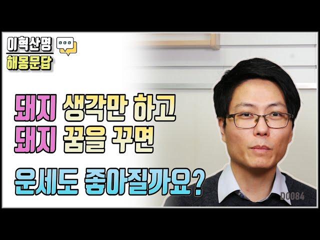 돼지 생각만 종일 하고 돼지 꿈 꾸면, 운세도 좋아지나요?