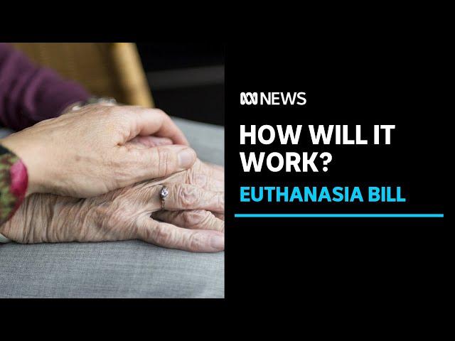 How will SA's Voluntary Assisted Dying laws work? | ABC News