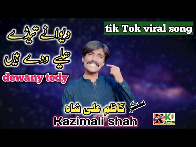 dewany tedy holy wady hain | new Saraiki viral song 2022