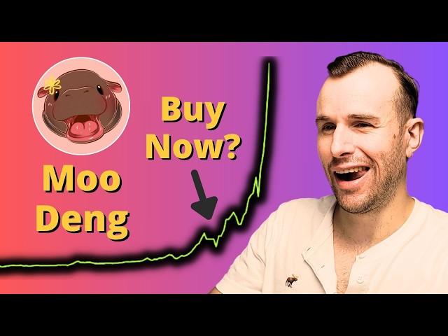 Why Moo Deng is up  Moodeng Crypto Token Analysis