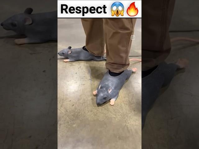 Respect  | respect  | respect skills | respect reactions | respect moment | respect  | #shorts