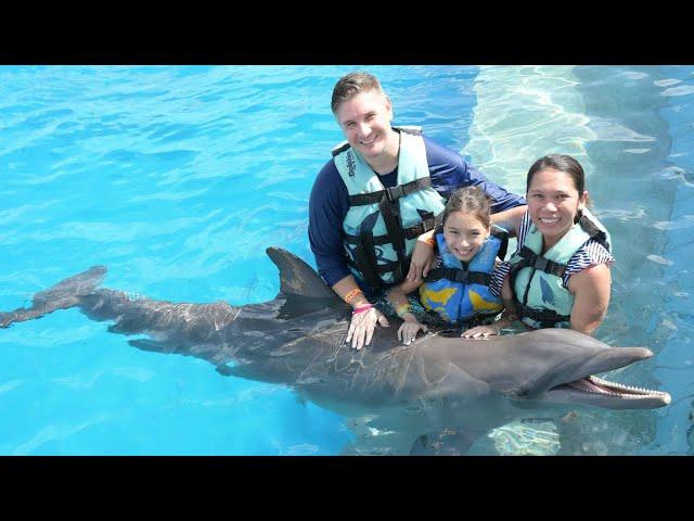 SWIMMING WITH DOLPHIN at DOLPHIN DISCOVERY PUNTA CANA | SKYE and Family