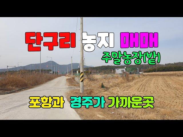 465 단구리 농지매매 농업진흥구역의 강동농지매매 포항에서 가까운 경주 농지매매 농지원부가 있는 분 만 구매가 가능합니다 31번 국도 ic 부근 경주부동산 강동부동산 지목부동산