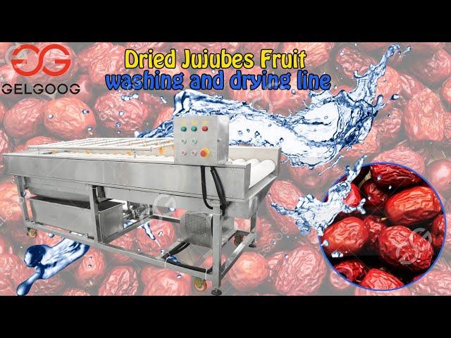 Vegetable Washing And Drying Line Parallel Type Jujubes Fruit  Brush Washing Machine