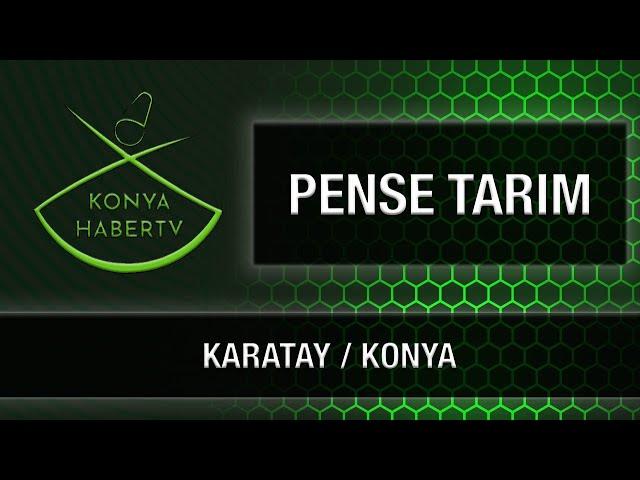 PENSE TARIM - KARATAY / KONYA