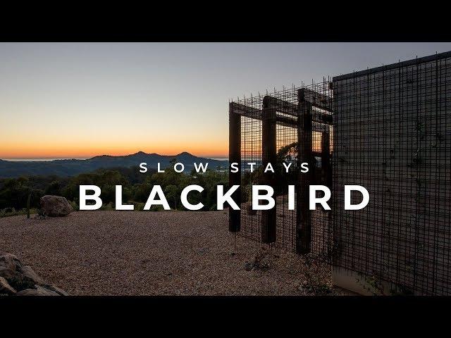 UNIQUE ACCOMMODATION | Blackbird - A haven in the Byron Bay Hinterland | SLOW STAYS