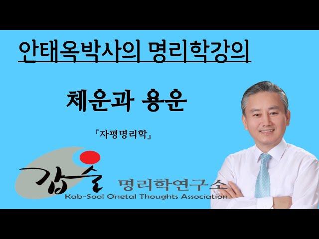 갑술명리학연구소 사주팔자 운세분석(체운과 용운)