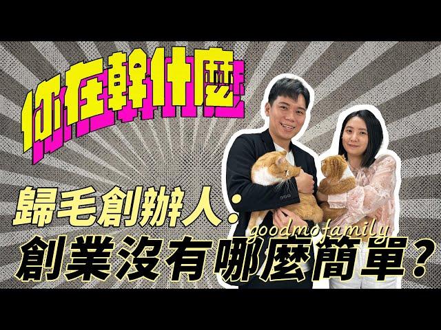 【你在幹什麼】老闆主動勸小A：不要創業!?｜寵物用品的秘密！(歸毛家族篇) feat.伍波比