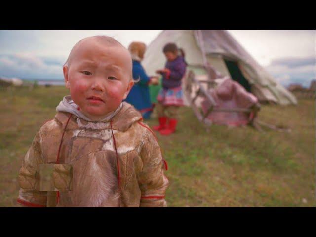 everyday routine of north nomads moving with kids, reindeer and dogs