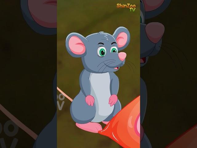 SHER AUR CHUHA  - 09     #kannada #shorts  #kannadakathe # #chintutvkannada
