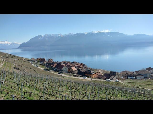 Le trajet en train de Lausanne à Fribourg en Suisse offre des paysages magnifiques et variés.