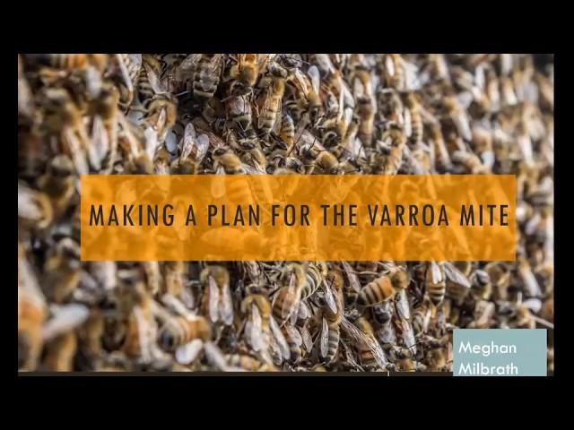 Making A Plan for the Varroa Mite