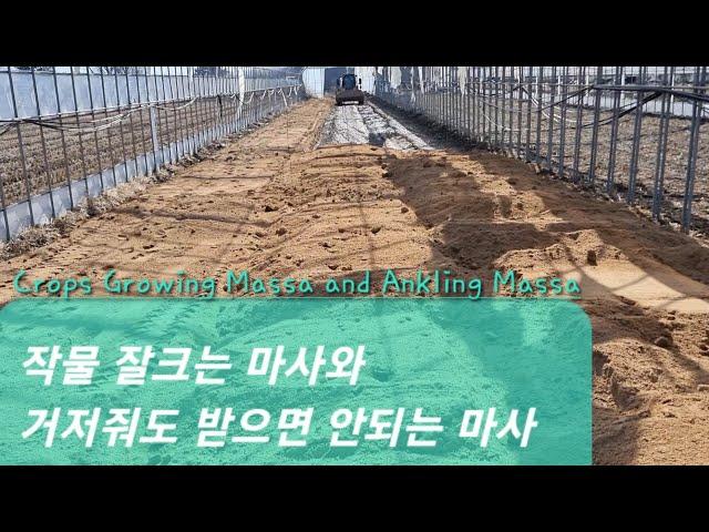 좋은 마사 않좋은 마사의 차이#The difference between good soil and bad soil#농사유튜브#농사정보통