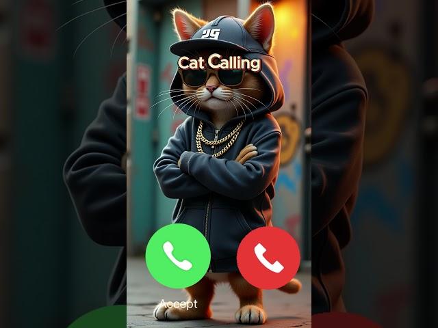 Cat Calling - Ring Ring Meow #calling  #ringtone
