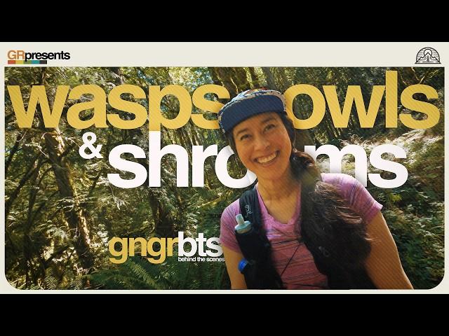 Wasps, Owls & Shrooms! // GNGRBTS