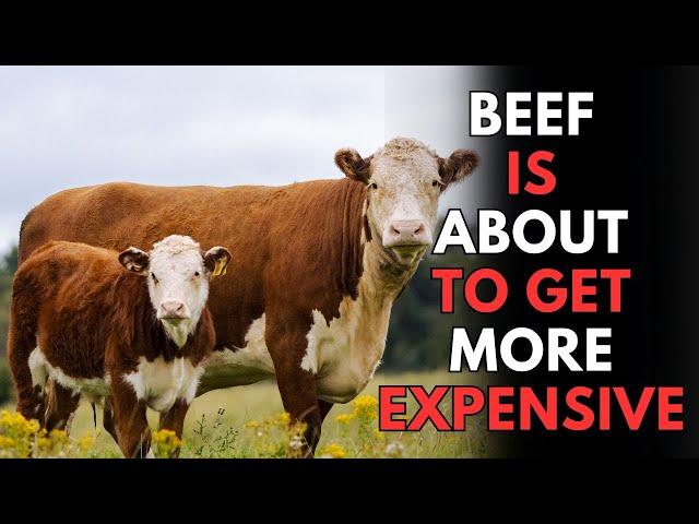 Beef Prices Will Continue To Rise