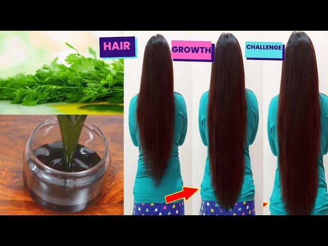 hair growth challenge: thicken your hair with coriander oil 