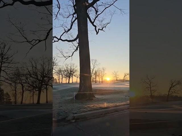 #sunshine #winter
