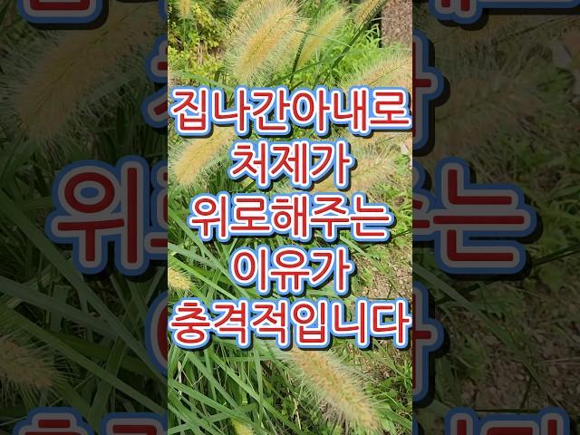 집나간 아내대신 처제가 위로해주는 이유가 충격적입니다