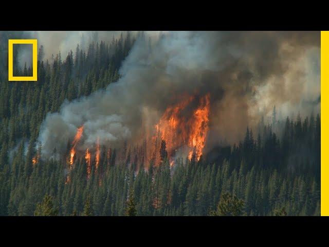 Wildfires 101 | National Geographic