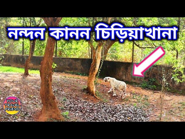 নন্দন কানন চিড়িয়াখানা || ভ্রমণ গাইড  || পুরী সাইটসীন || Nandan Kanan zoological Park | Bhubaneswar